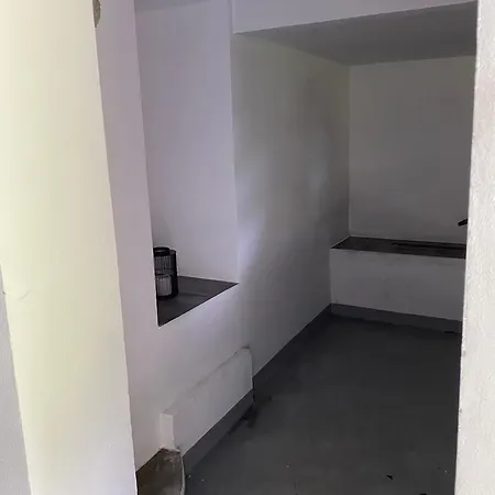 Apartment Simona Slatinany